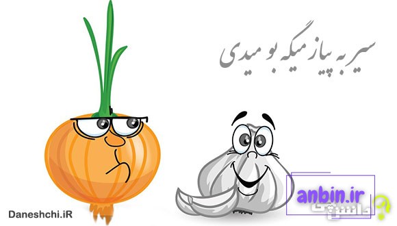 معنی ضرب المثل سیر به پیاز میگه بو میدی
