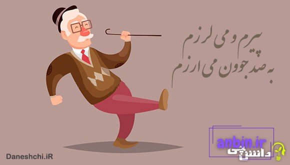 معنی پیرم و می&zwnj;لرزم، به صد جوون می&zwnj;ارزم