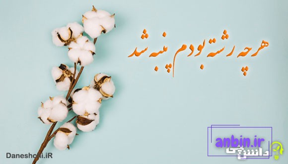 ضرب المثل هرچه رشته بودم پنبه شد