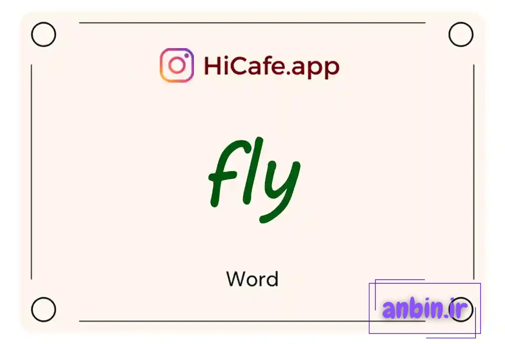 Meaning and usage of fly word