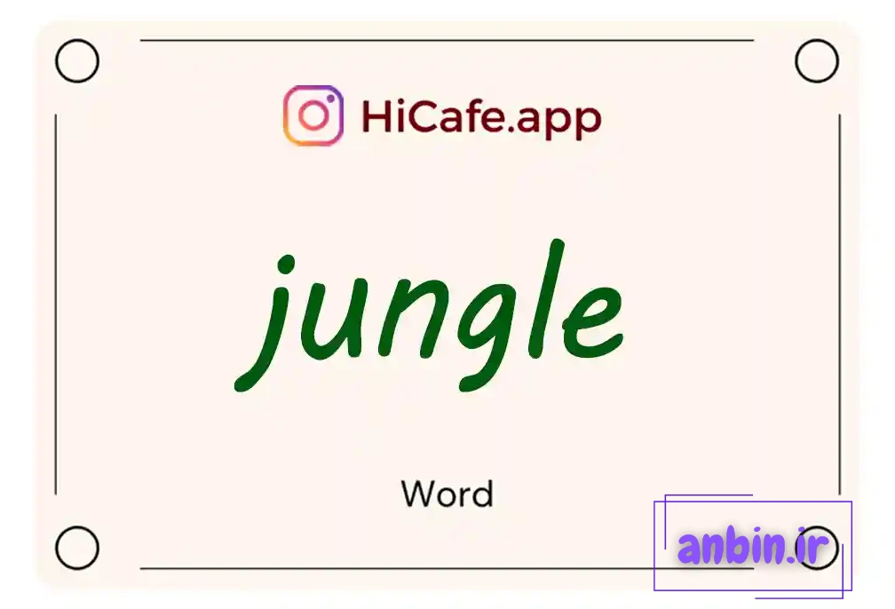 Meaning and usage of jungle word