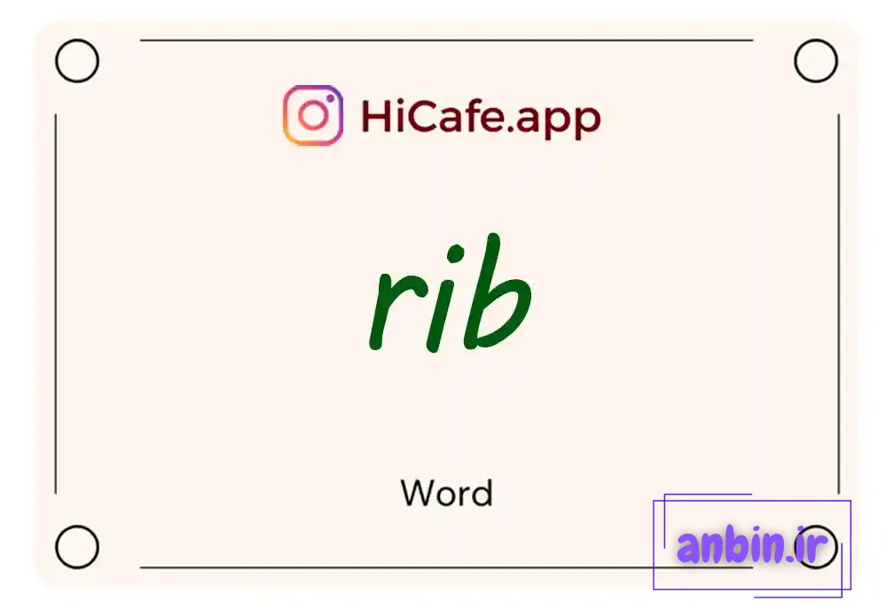 Meaning and usage of rib word
