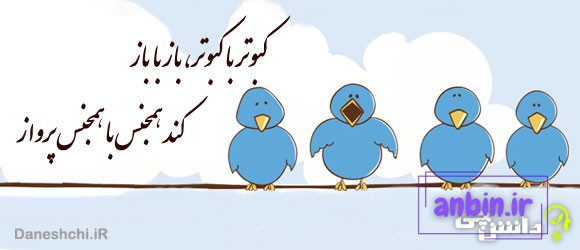 کبوتر با کبوتر باز با باز، کند هم جنس با هم جنس پرواز