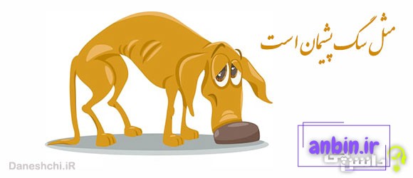 مثل سگ پشیمان است