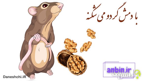 با دمش گردو می ‌شکنه