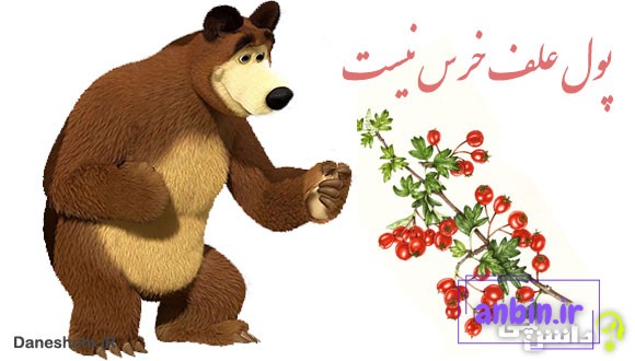 ضرب المثل پول علف خرس نیست