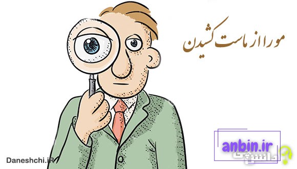 ضرب المثل مو را از ماست کشیدن