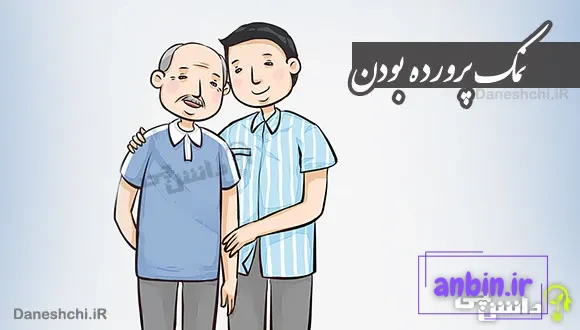 ضرب المثل نمک پرورده بودن