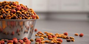 cat food