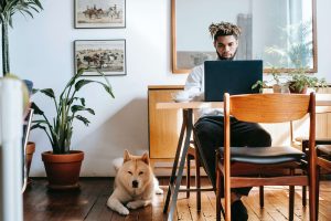 نکات مهم پیش از به سرپرستی گرفتن سگ 
