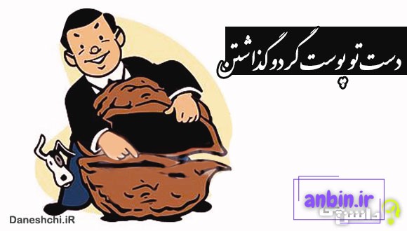 دست تو پوست گردو گذاشتن