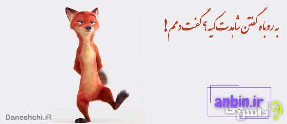 معنی ضرب المثل به روباه گفتند شاهدت کیه؟ گفت: دمم