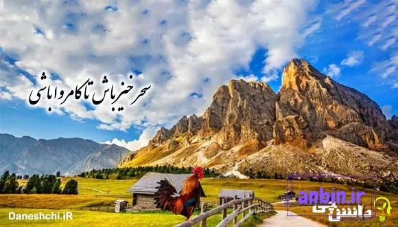 برداشت از ضرب المثل سحر خیز باش تا کامروا باشی