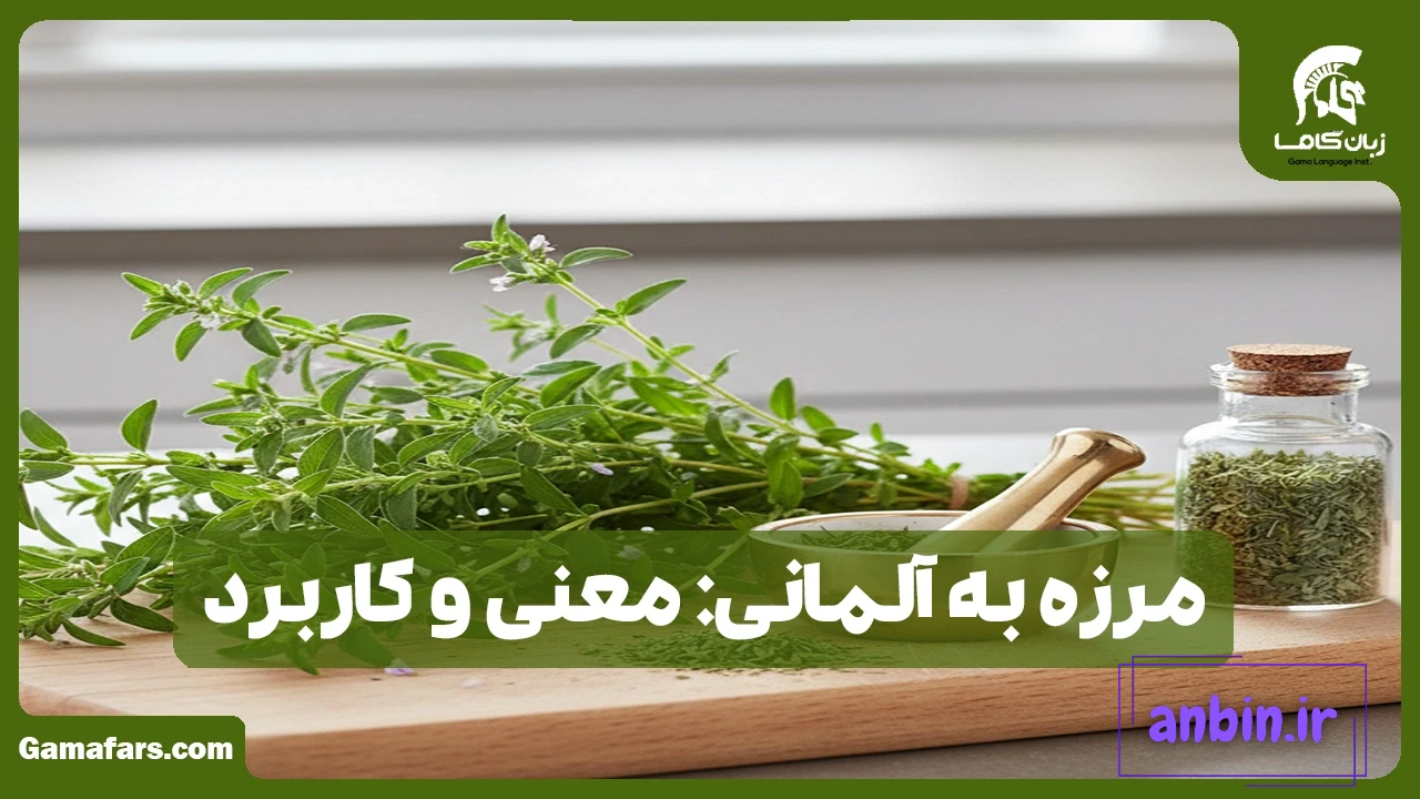 مرزه به آلمانی