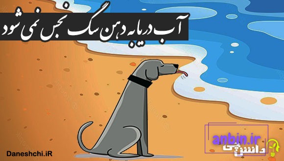 آب دریا به دهن سگ نجس نمی&zwnj; شود