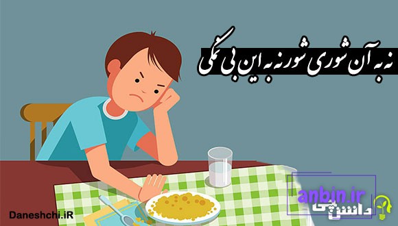 نه به آن شوری شور نه به این بی نمکی