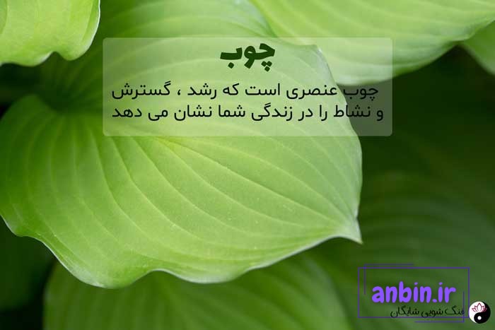 عنصر چوب در فنگ شویی