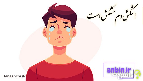 اشکش دم مشکش است 