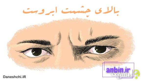 معنی بالای چشمت ابروست