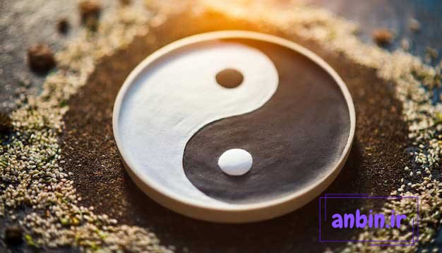 یین و یانگ در روانشناسی آنبین