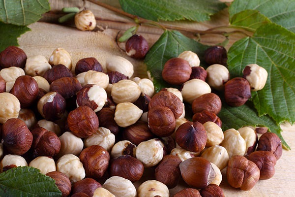 تعبیر خواب فندق