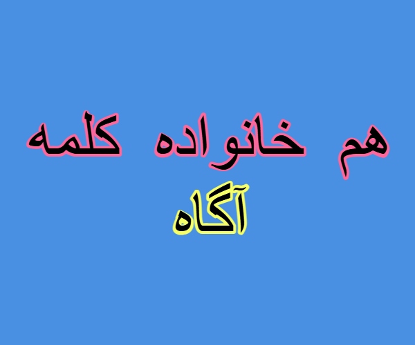 هم خانواده کلمه آگاه + معنی ، مترادف و متضاد کلمه آگاه