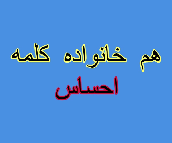 هم خانواده کلمه احساس