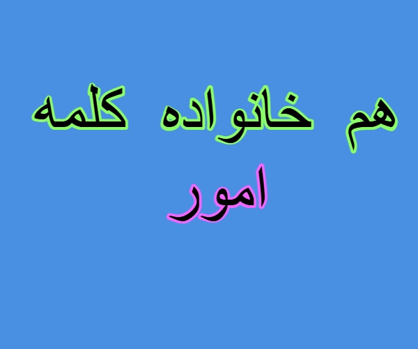 هم خانواده کلمه امور