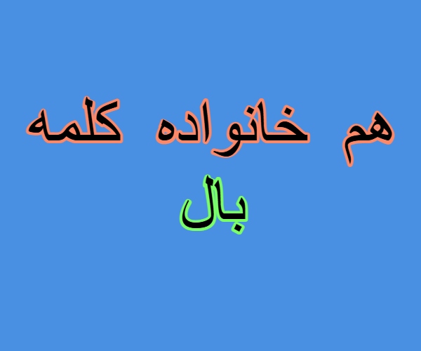 هم خانواده کلمه بال