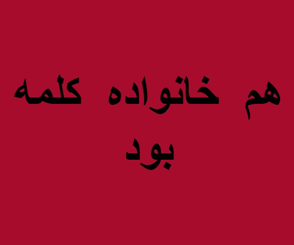 هم خانواده کلمه بود + معنی ، مترادف و متضاد کلمه بود