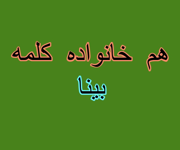 هم خانواده کلمه بینا