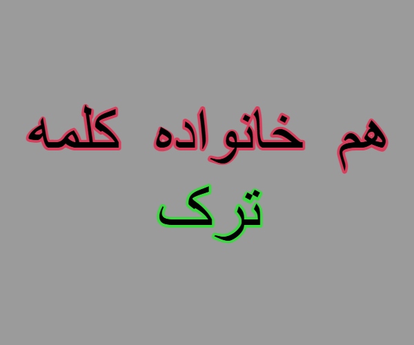 هم خانواده کلمه ترک + مترادف و معنی کلمه ترک