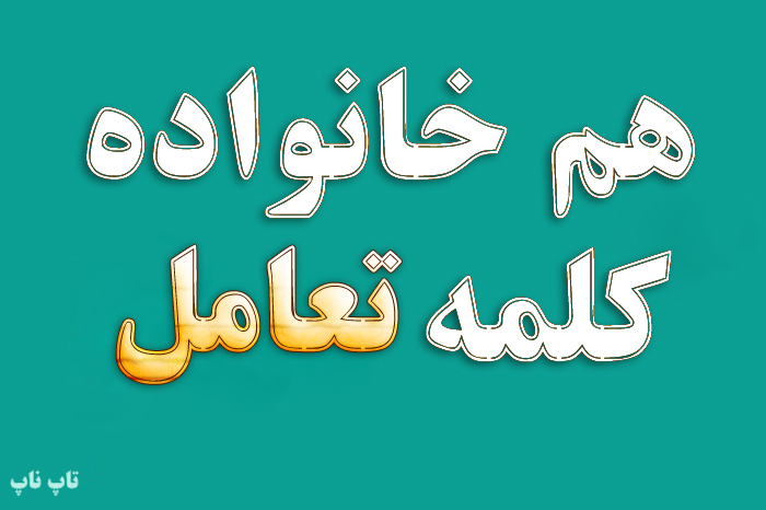 هم خانواده کلمه تعامل + معنی و مترادف کلمه تعامل