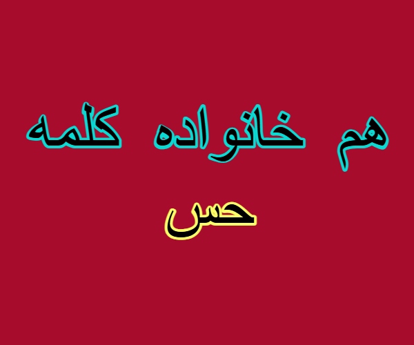 هم خانواده کلمه حس