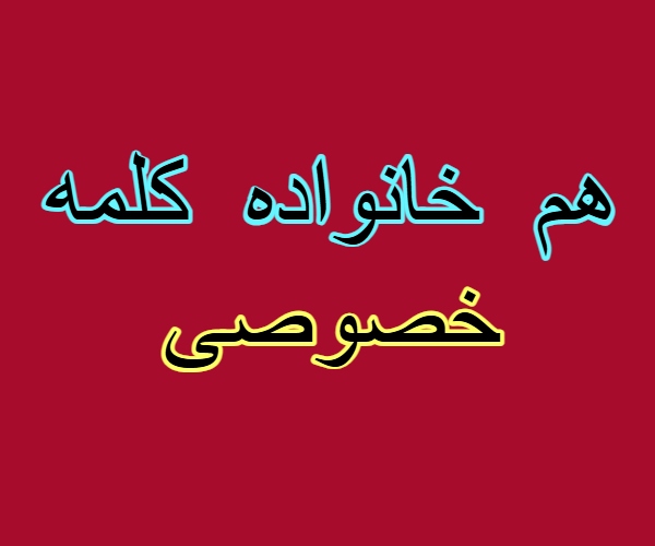 هم خانواده کلمه خصوصی