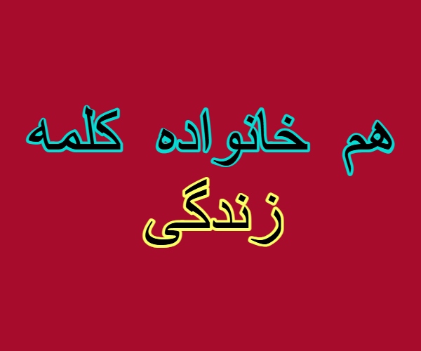 هم خانواده کلمه زندگی