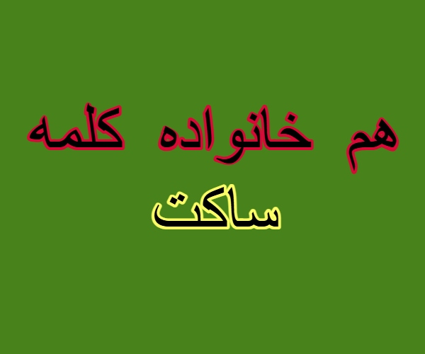 هم خانواده کلمه ساکت