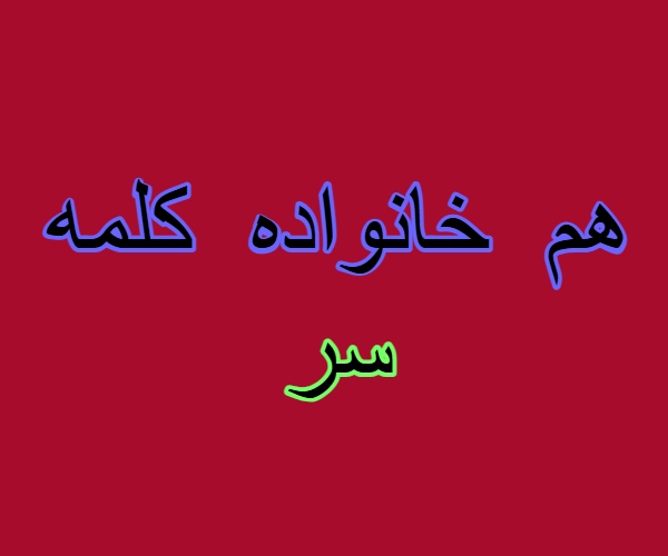هم خانواده کلمه سر + معنی ، مترادف و متضاد کلمه سر
