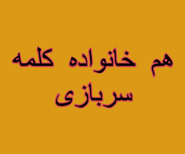 هم خانواده کلمه سربازی + مترادف و معانی کلمه سربازی