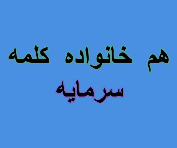 هم خانواده کلمه سرمایه
