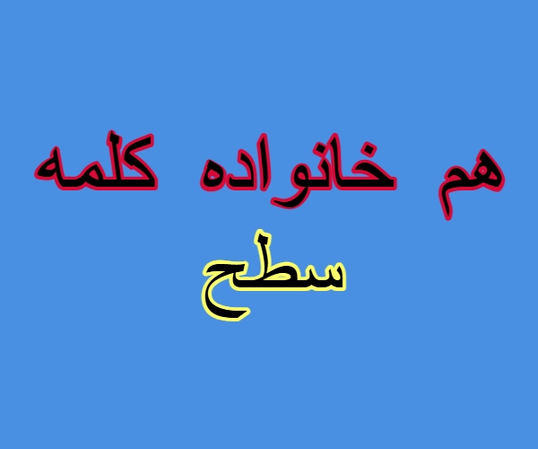 هم خانواده کلمه سطح