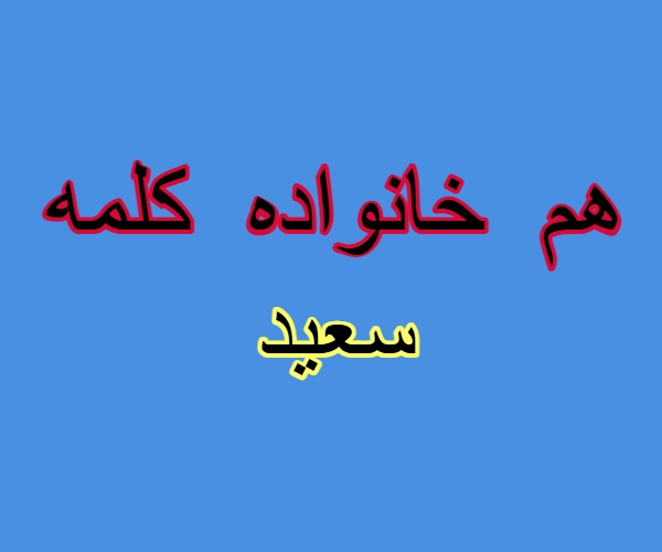هم خانواده کلمه سعید