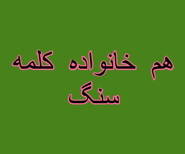 هم خانواده کلمه سنگ + مترادف و معنی کلمه سنگ