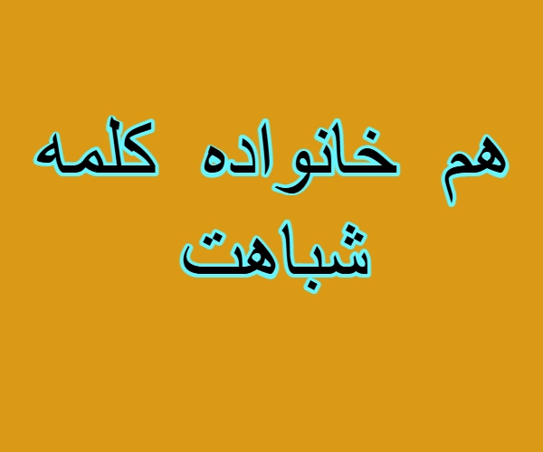 هم خانواده کلمه شباهت