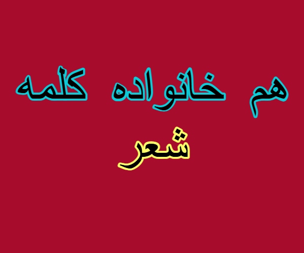 هم خانواده کلمه شعر