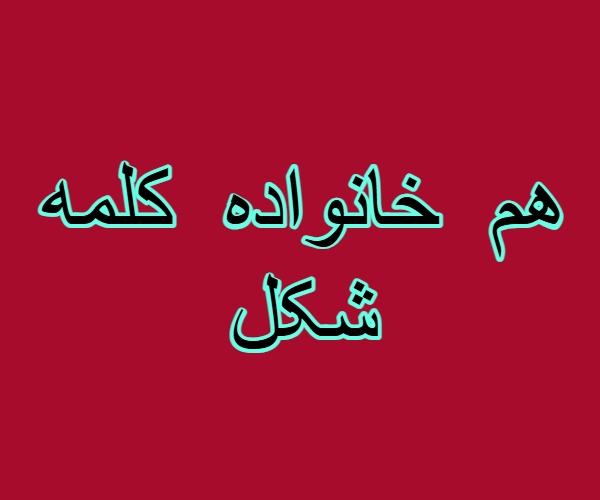 هم خانواده کلمه شکل