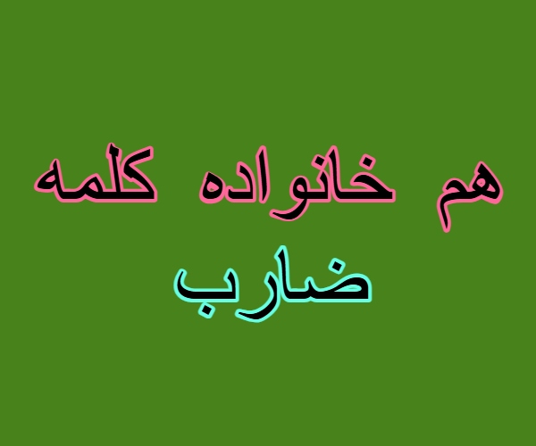 هم خانواده کلمه ضارب + معنی ، مترادف و متضاد کلمه ضارب