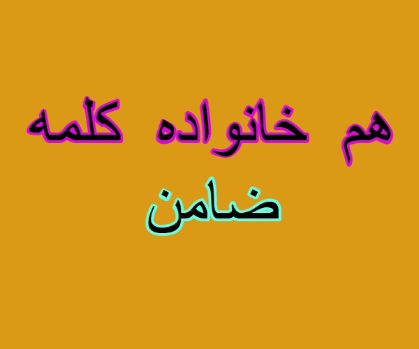 هم خانواده کلمه ضامن