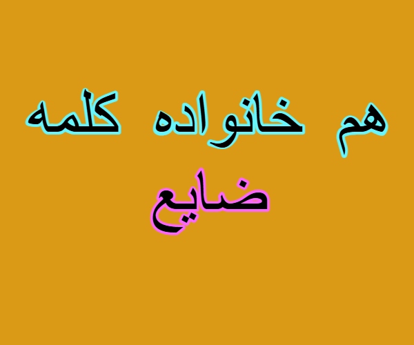 هم خانواده کلمه ضایع