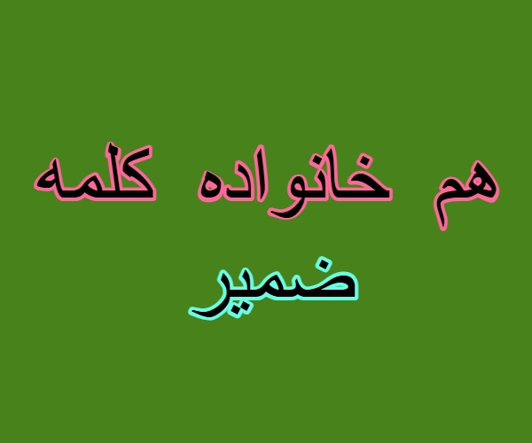 هم خانواده کلمه ضمیر + مترادف و معانی کلمه ضمیر